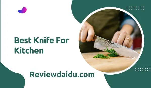 Best Knife For Kitchen