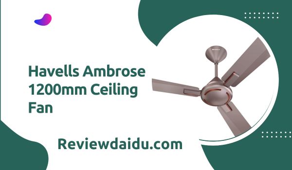Havells Ambrose 1200mm Ceiling Fan